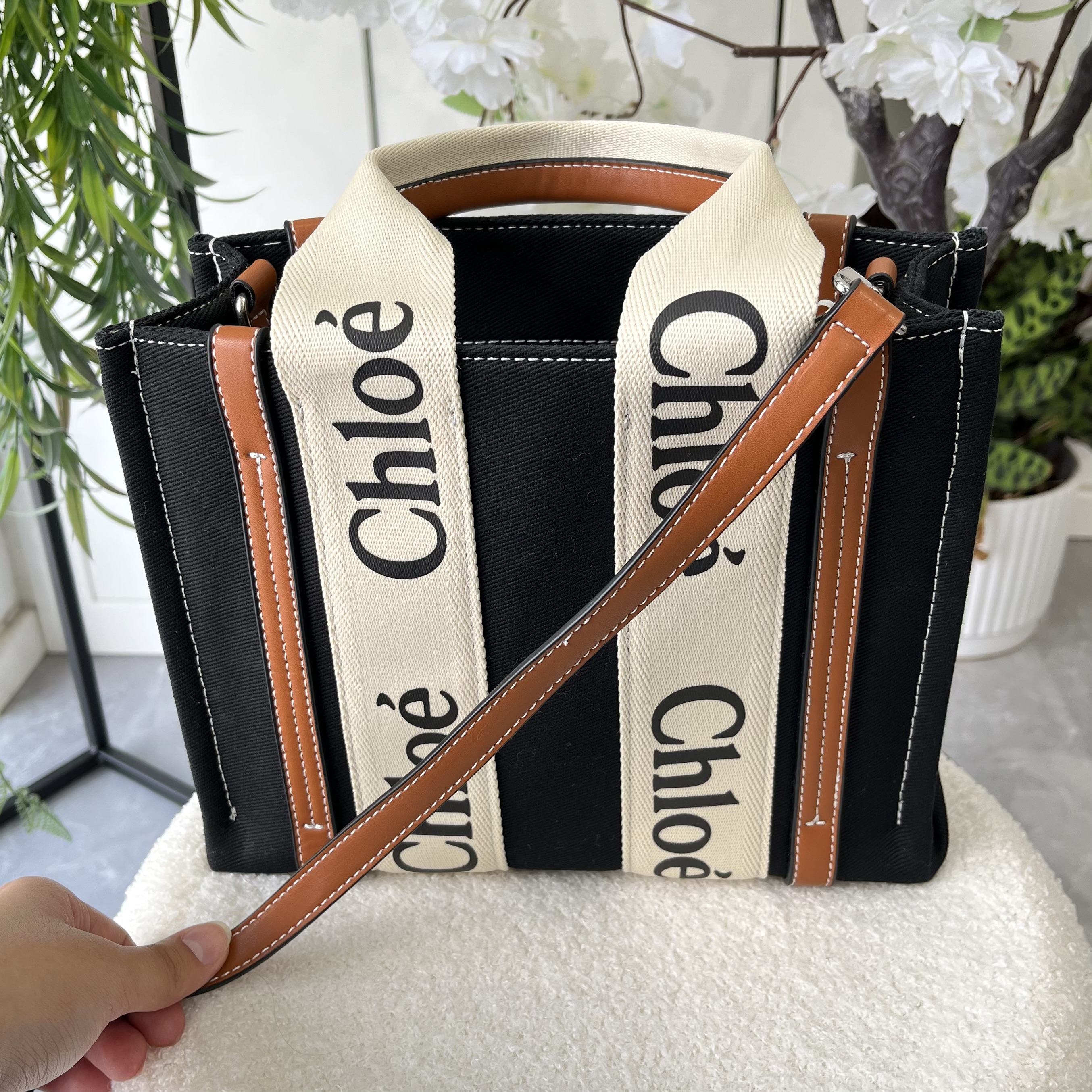 CHLOE-6